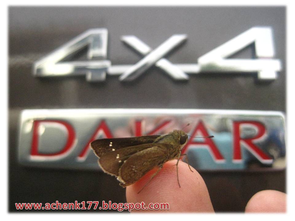 Perbedaan Pajero Sport Dakar Dan Exceed Pajero Spo Perbedaan Pajero Sport Dakar Dan Exceed Pajero Spo