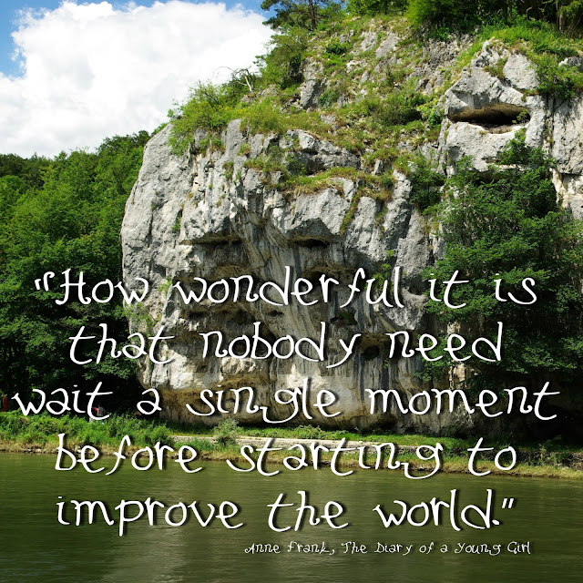 How wonderful it is that nobody need wait a single moment before starting to improve the world. - Anne Frank, The Diary of a Young Girl