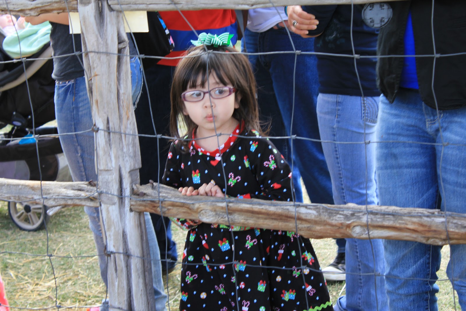 Homestead Heritage Craft Fair 2011