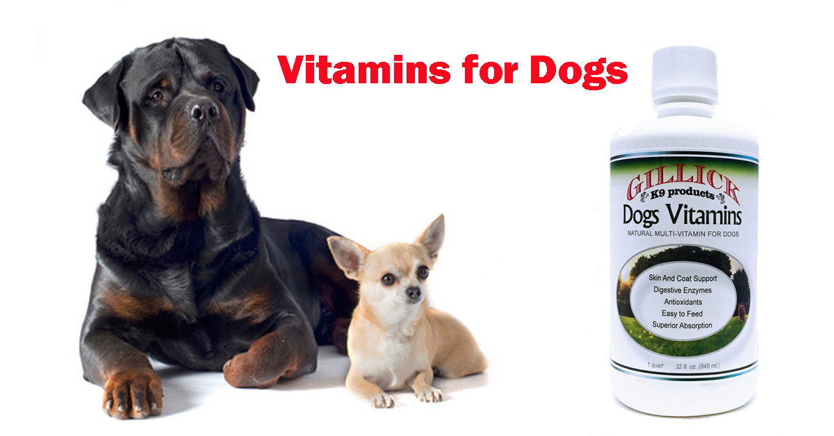 Home remedies for dogs with pica syndrome doptrek