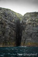 Yardy Yardy Yardy: Faroe Islands' Dark Underbelly