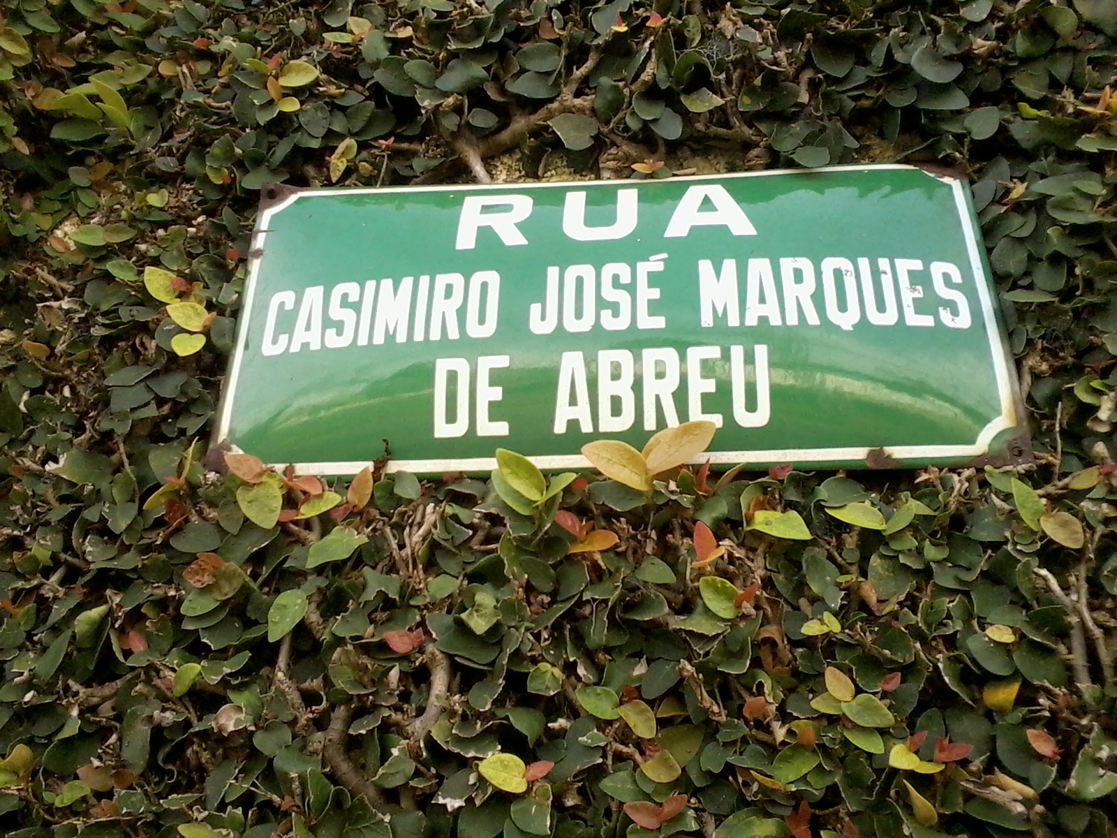 Na Mira do Leitor A rua Casimiro de Abreu, o poeta, o poema e a minha curiosidade Na Mira do Leitor A rua Casimiro de Abreu, o poeta, o poema e a minha curiosidade