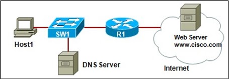 Ответы веб сервера. DNS Server и web Server. Веб-сервер Cisco. Веб сервер в Циско. Первый в мире веб сервер.