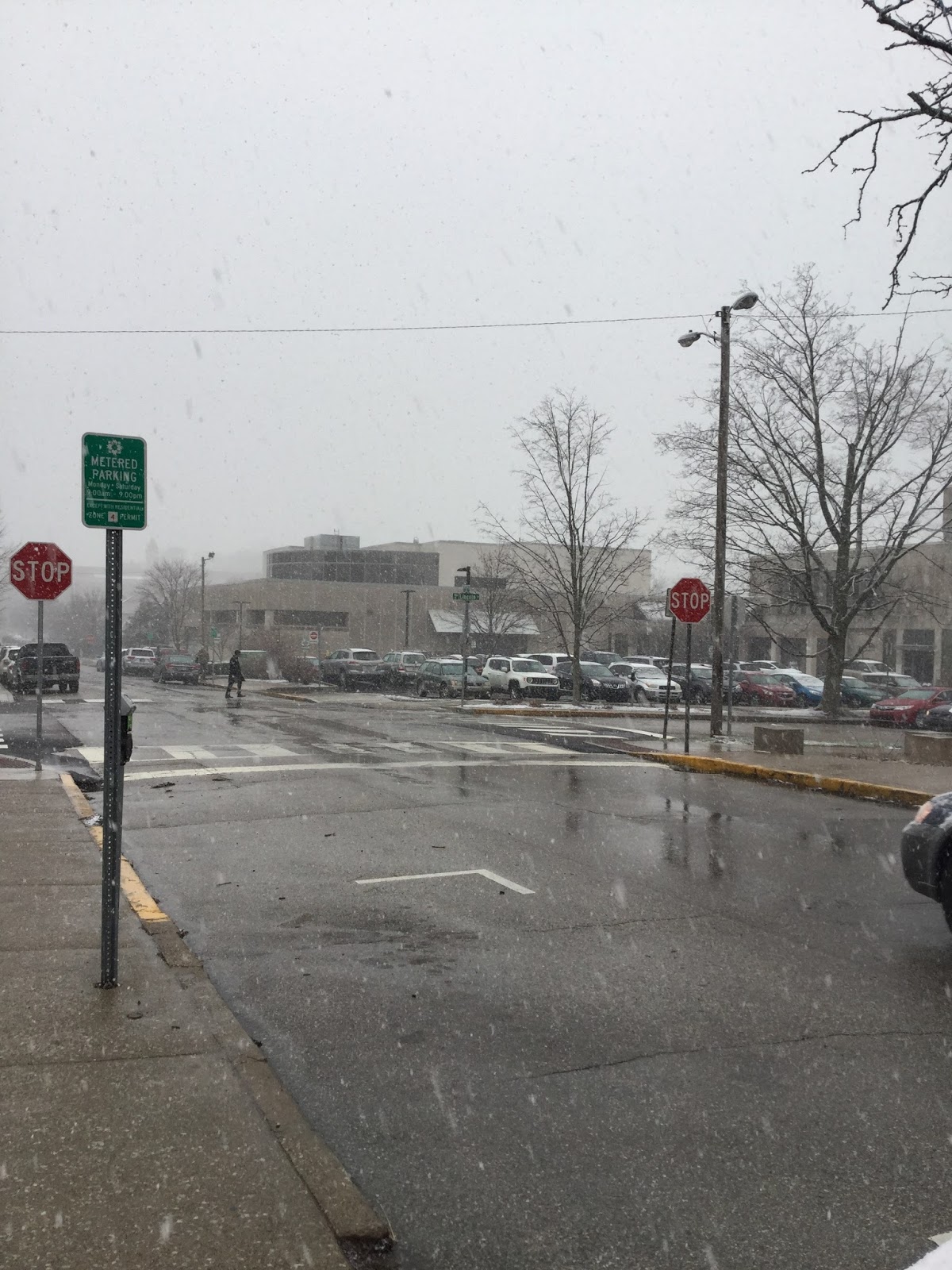 Burl's Weather Page The first day of spring in Bloomington, Indiana.