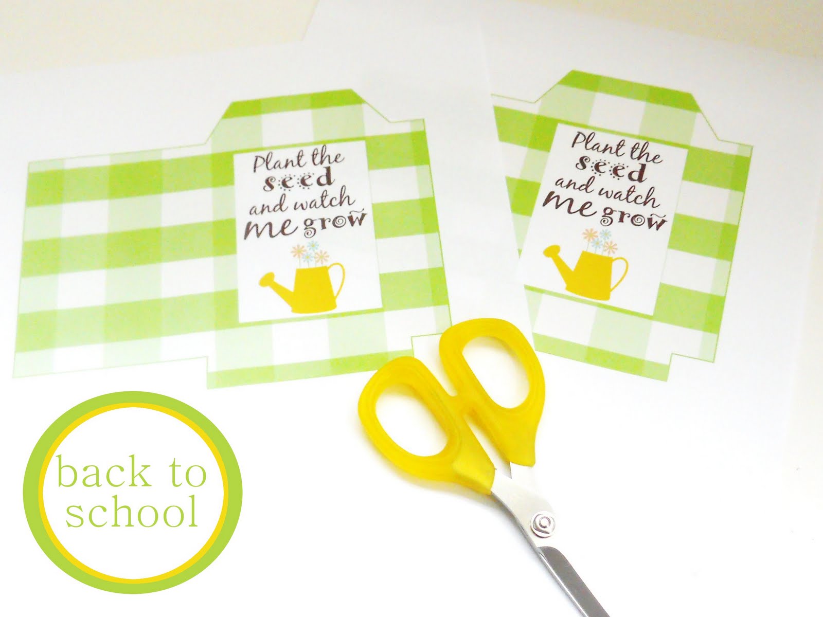 free-printables-seed-packet-template-teacher-s-gift-delightfully-noted