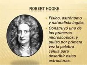 robert hooke