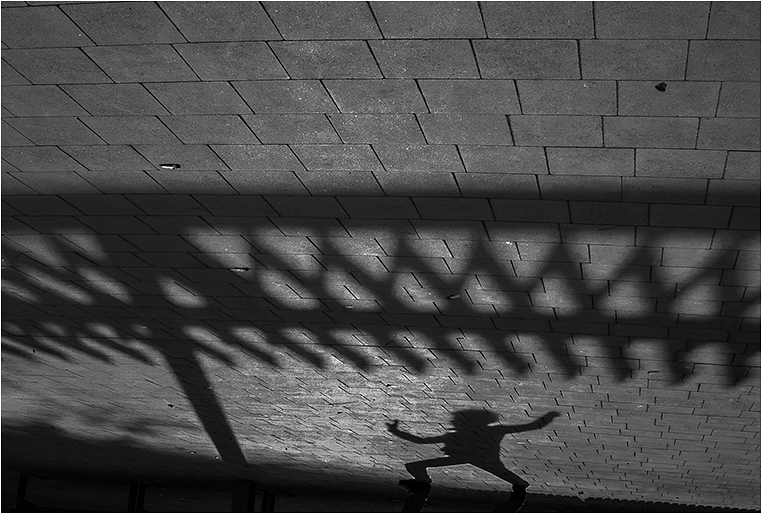 Emerging Photographers, Best Photo of the Day in Emphoka by Miguel MAS Emerging Photographers, Best Photo of the Day in Emphoka by Miguel MAS