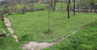 Nicely cut grass Nicely cut grass