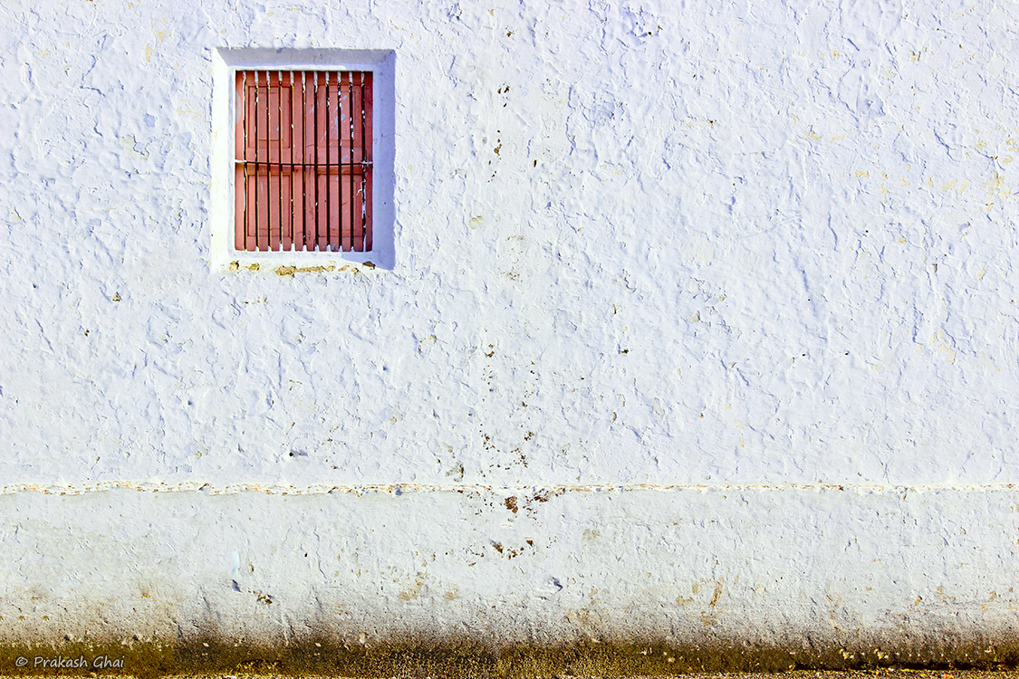 wall photography