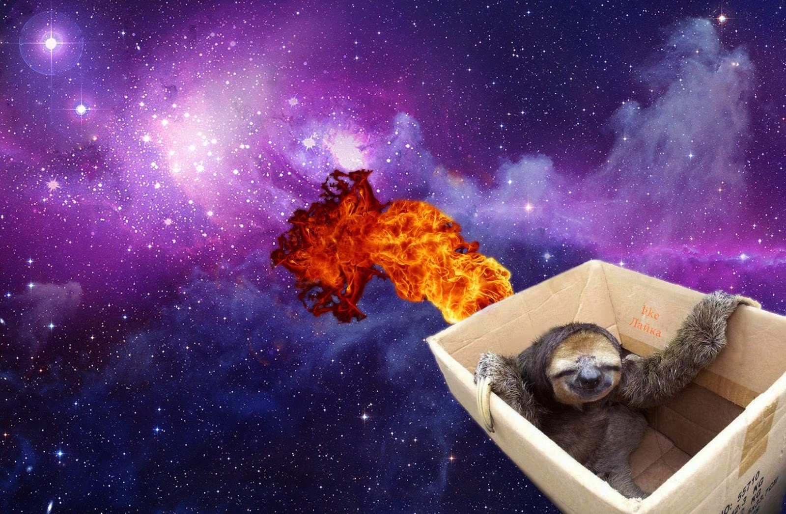 Sloth Wallpapers Sloth Wallpapers