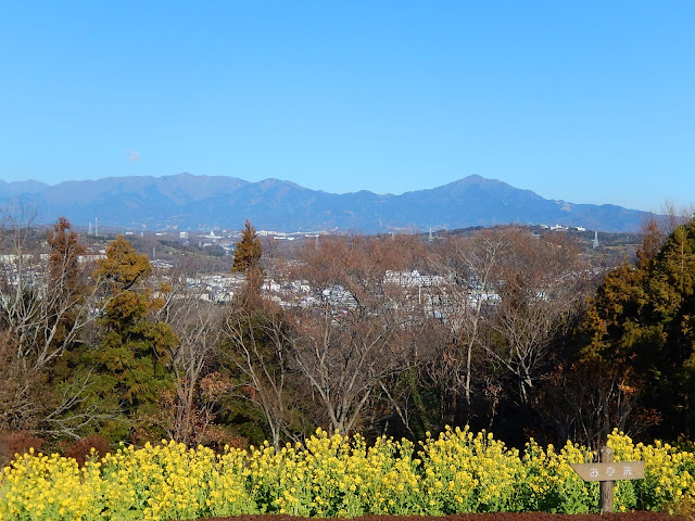 ��ȎR��������̒O��