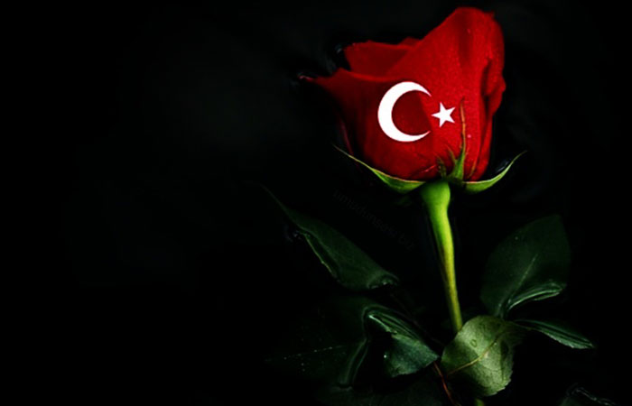Turk bayragi gul resimleri 10