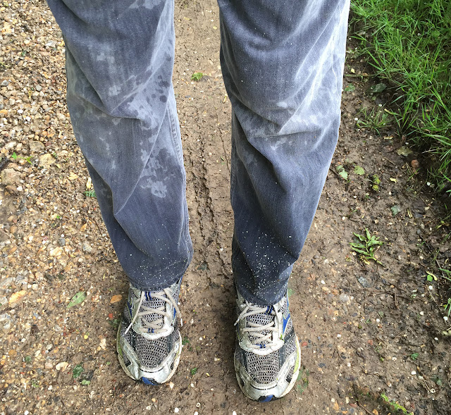 Path to Nash. From Jackass Lane to Fortune Bank Farm. 2 June 2016. Path to Nash. From Jackass Lane to Fortune Bank Farm. 2 June 2016.