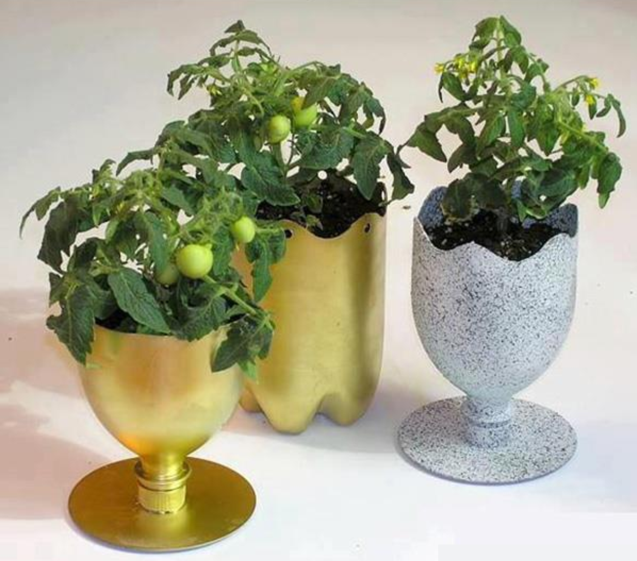 Begini Cara Membuat Pot Bunga Cantik Dari Botol Plastik Naramedia