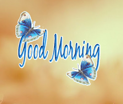 Good Morning Images With Flowers Good Morning Images With Flowers