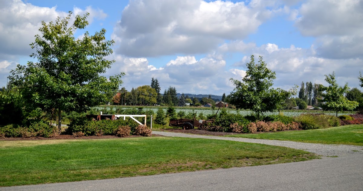 The Outlaw Gardener Vassey's Big September Sale Starts Today!