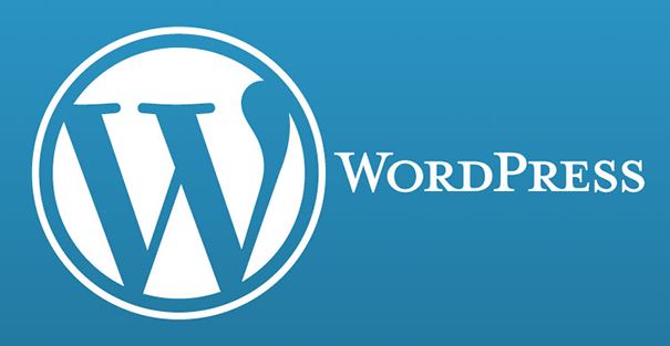 Wordpress en iyi seo eklentisi