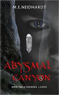 Abysmal Canyon - a sci-fi fantasy thriller by M.E. Neidhardt