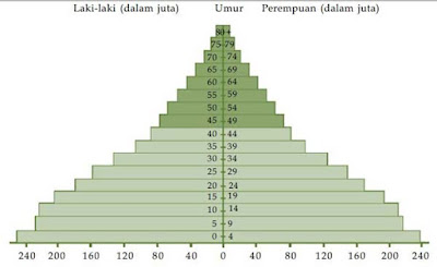 data ilmiah biologi dalam bentuk piramida
