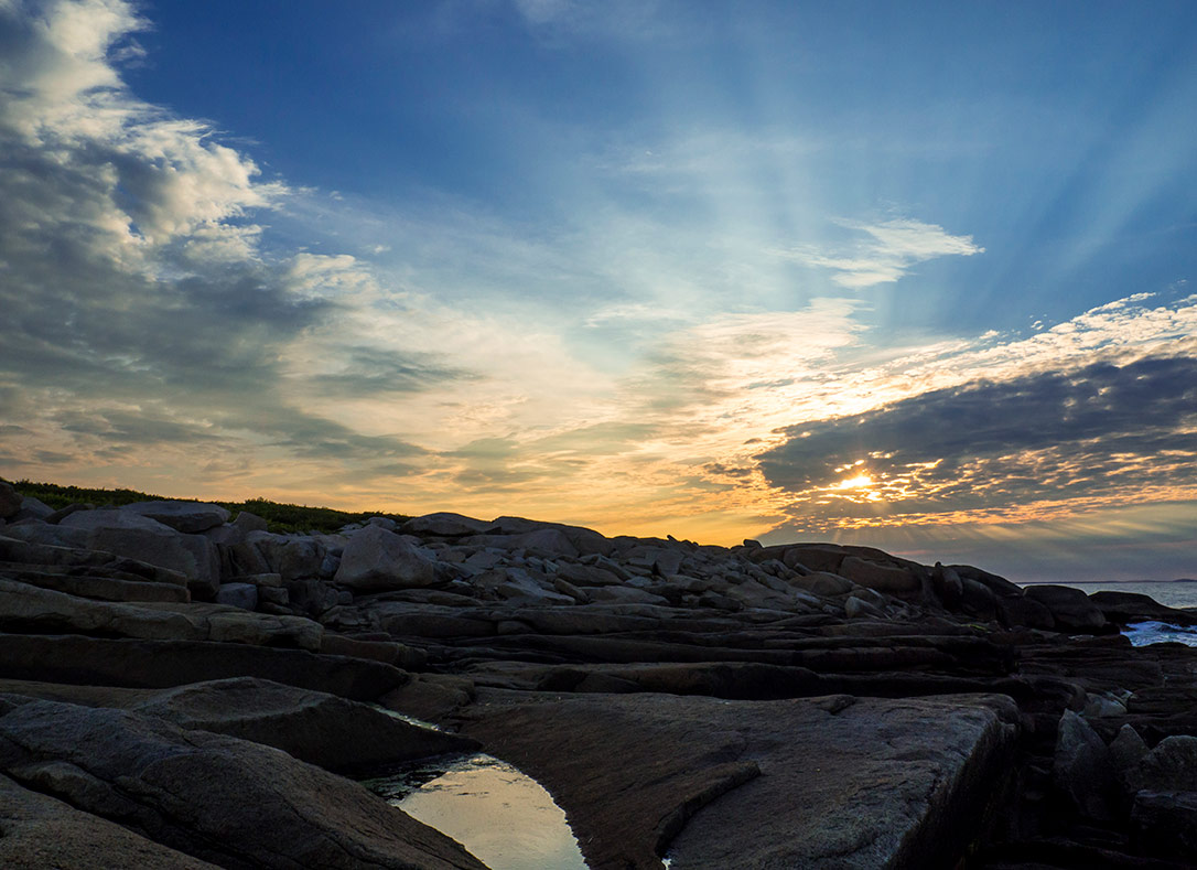 Hike Like Mike A Fantastic, Flatter Adventure Halibut Point State Park
