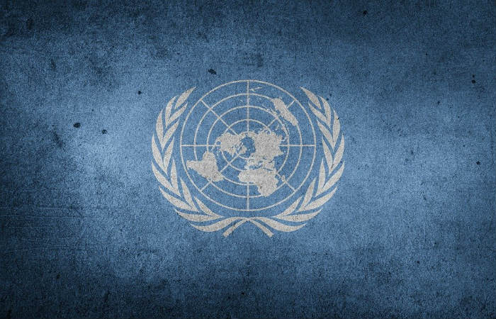 Organización_de_Naciones_Unidas Organización_de_Naciones_Unidas