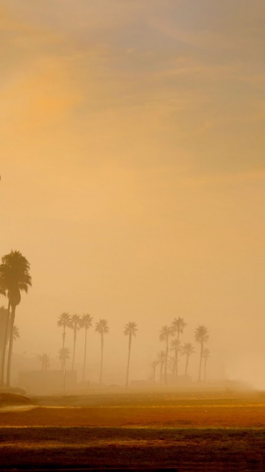 Los Angeles Morning Beach  Galaxy Note HD Wallpaper