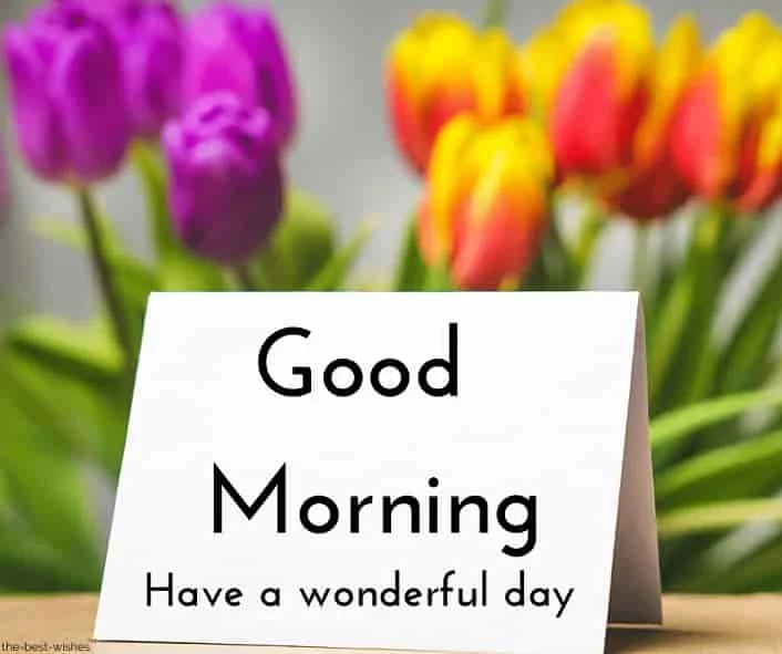 good morning greeting card have a wonderful day