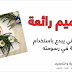فنان يبدع في توظيف الطعام والاشياء في الرسم بشكل رائع