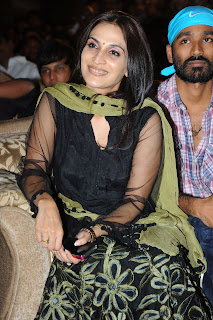 Three Audio Launch Gallery [Andhrula Music]