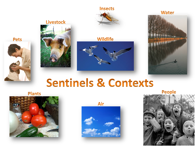 Sentinels & Contexts