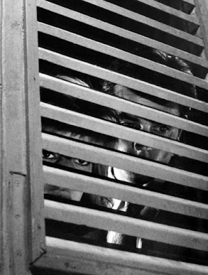 L%25E2%2580%2599Eclisse%2B%25281962%2529%252C%2Bce6