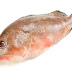 Indonesia Grouper Suppliers with High Quality Product