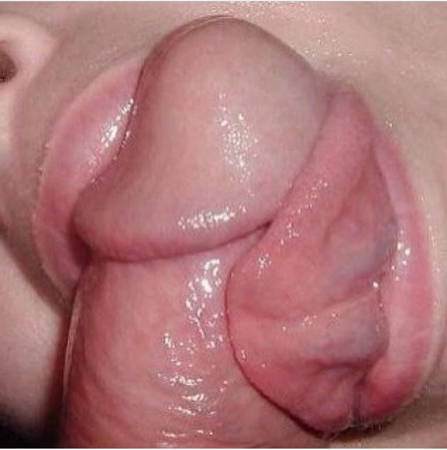 Tongue Dick Porn - Cock tongue | TubeZZZ Porn Photos