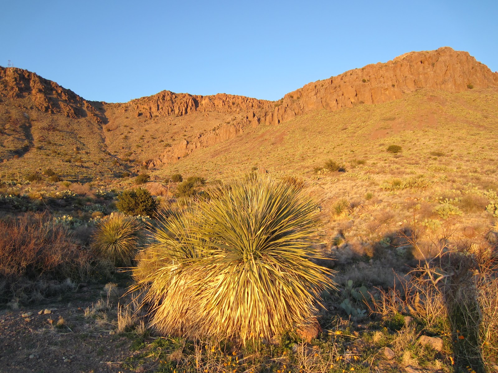 Bill & Karen's Excellent Traveling Adventures Deming New Mexico