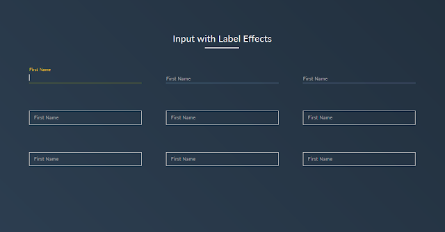  Awesome input focus effects