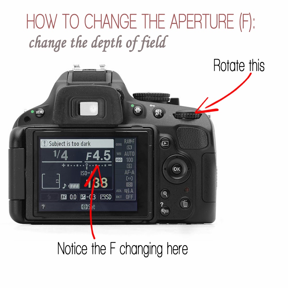 Day 2 Aperture Focus Iso