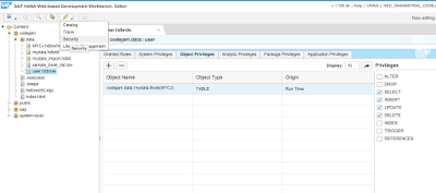 SAP HANA XS Classic, Access your first data in a SAP HANA XSC Application