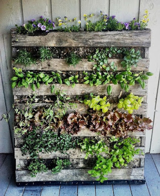 Ideias para Fazer um Jardim/Horta Vertical na sua varanda ou quintal