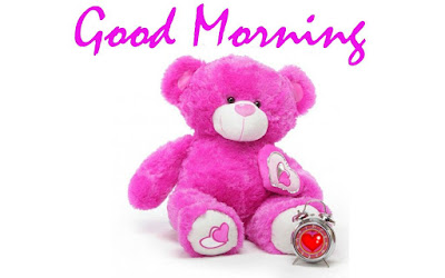 teddy bear teddy bear
