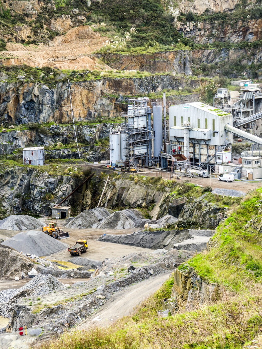 B's Photography Guernsey 16 Les Vardes Quarry Nature Walk