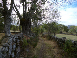 Senderos poco ciclables