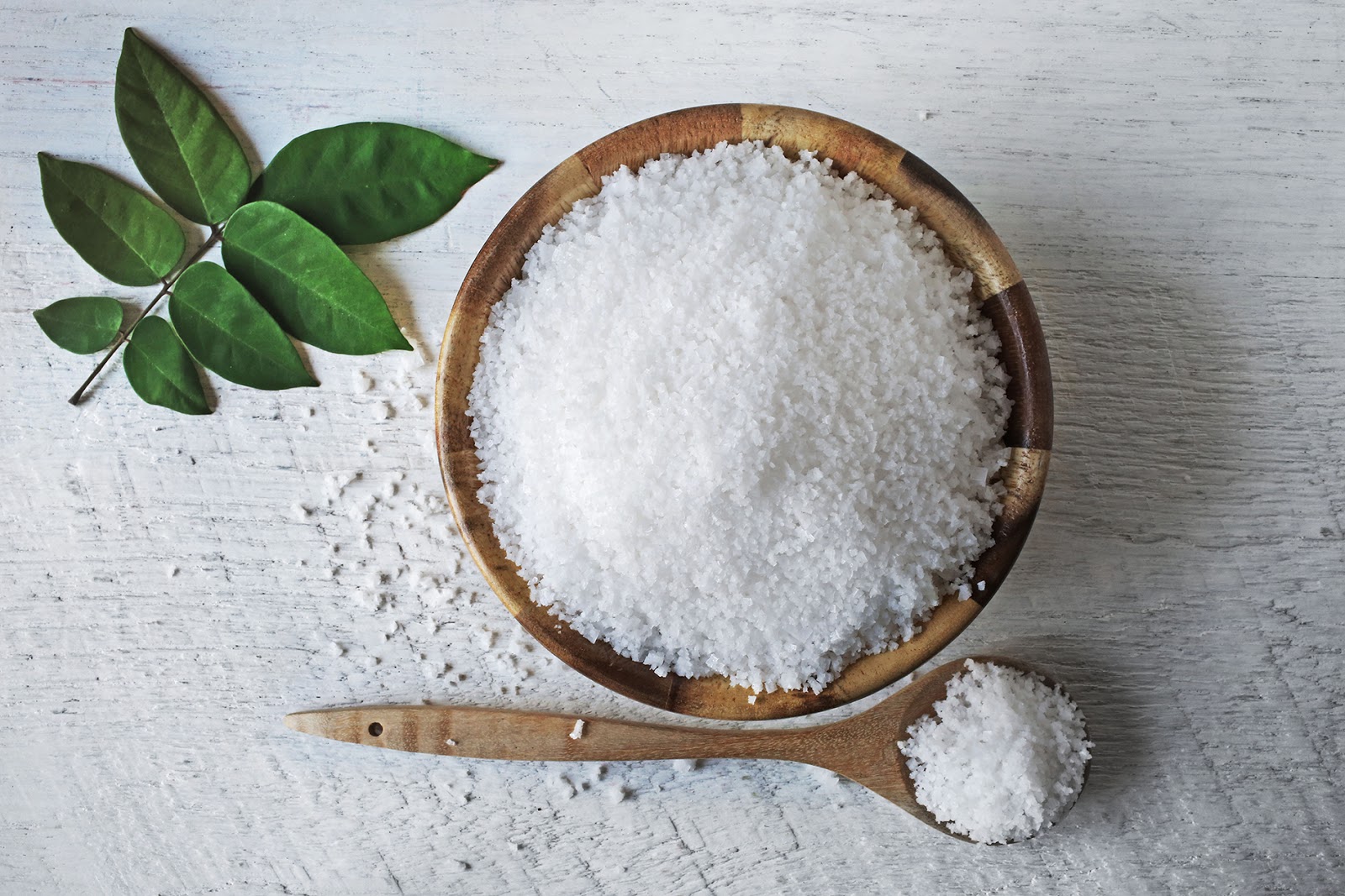 Bahan Pengawet Makanan Bahan Pengawet Makanan