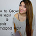 Herble Way to Repair Dry Damaged Hair naturally at Home