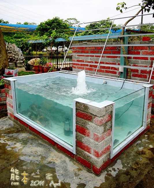 石園農場|釣魚場|兒童戲水池