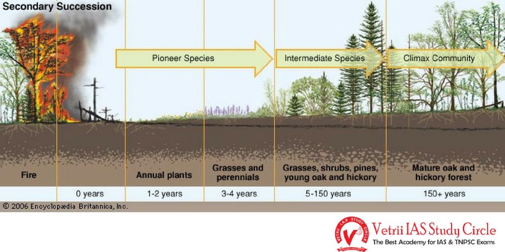 ecological succession upsc tnpsc general knowledge secondary succession
