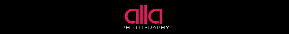 Alla Photography - Melbourne Wedding and Portrait Photographer