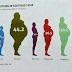 Program Diet HCG - Cara Kuruskan Badan Dengan Berkesan