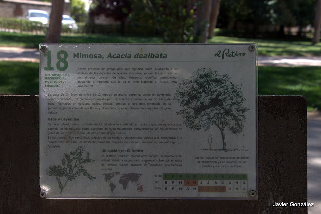Parque del Retiro de Madrid. Itinerario 2.Del Bosque del Recuerdo al Huerto del Francés