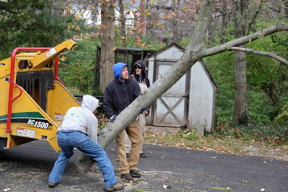 MEC&F Expert Engineers Tree limb kills 25yearold worker employed by