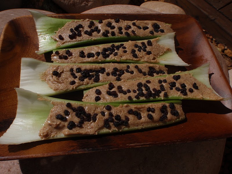 Raw Harmony Simple raw celery filled sticks